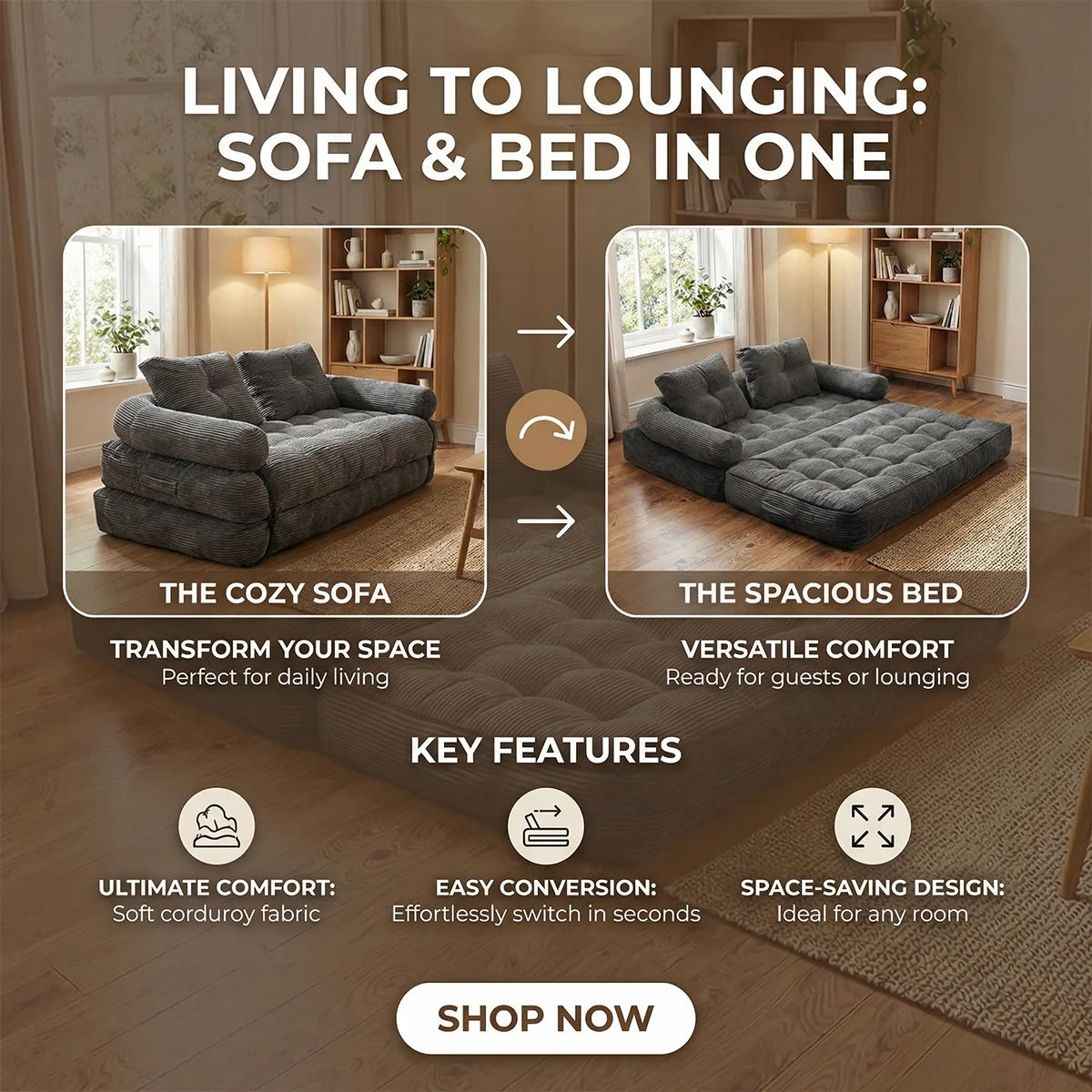 Modern Convertible Sofa Bed, 2-Seater Vacuum Packed Compressed Couch, Soft Memory Foam Floor Sofa for Small Space Living Room